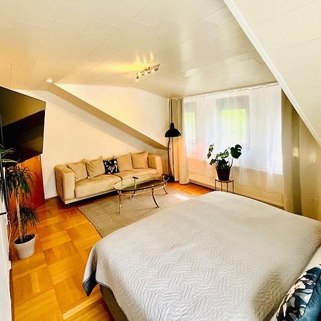 Casa Inn Parkview - Relax & Chill - Perfect For Business Travel, Weekend Trip, Family&Friends, Dogs Lover, Romance, Layover Or Longstay Limburg an der Lahn Bagian luar foto