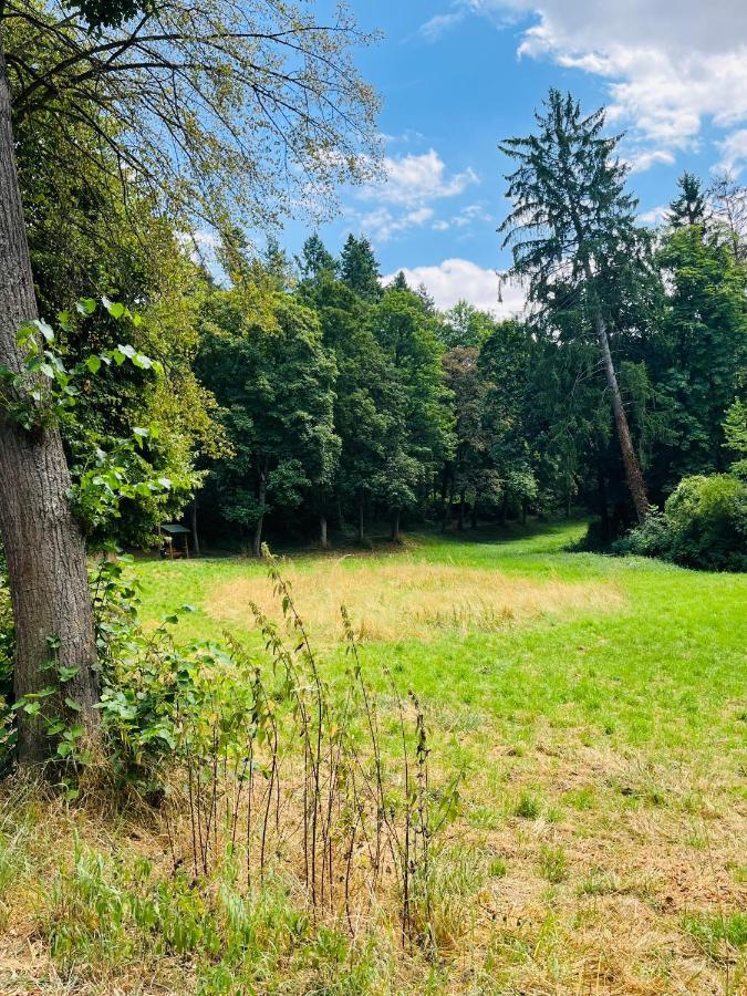 Casa Inn Parkview - Relax & Chill - Perfect For Business Travel, Weekend Trip, Family&Friends, Dogs Lover, Romance, Layover Or Longstay Limburg an der Lahn Bagian luar foto