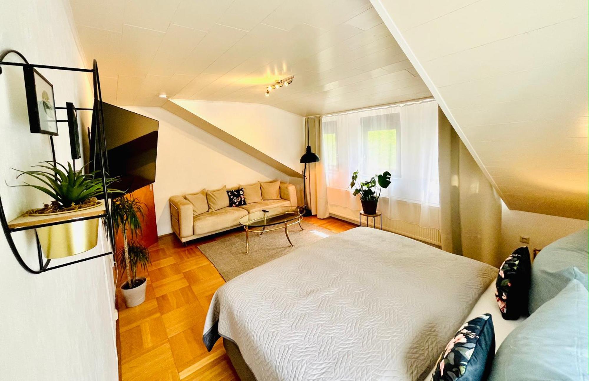 Casa Inn Parkview - Relax & Chill - Perfect For Business Travel, Weekend Trip, Family&Friends, Dogs Lover, Romance, Layover Or Longstay Limburg an der Lahn Bagian luar foto